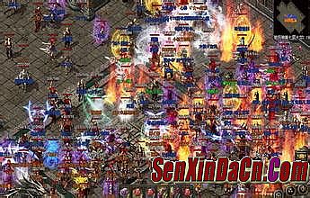 ҵʲôƽ̨