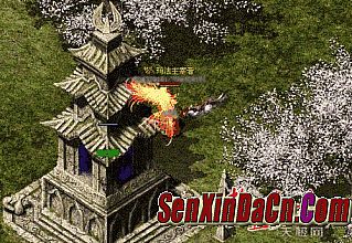 37���´�����������