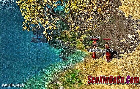 ����̬�ϻ�������