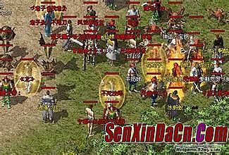 ��Ѫ����̿�����չʾ