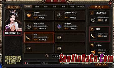 ʢ�����������ι���