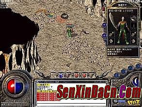 ʢ����100��ţװ��