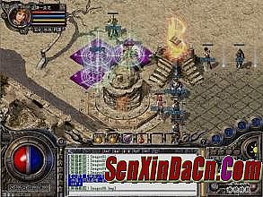 ��ʿ��̬����