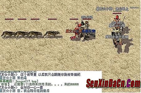 ��̬��������