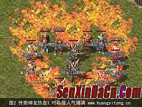 ���紫��������