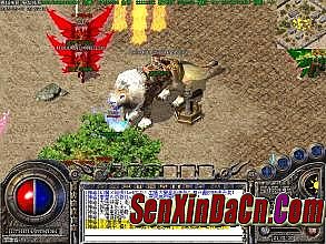 ��Ѫ�����õ�����ô��