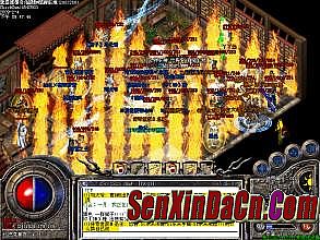 ���±�̬������ַ