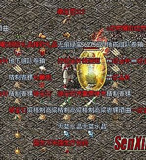 ���Ŵ�����������̿�Ⱥ���׵���